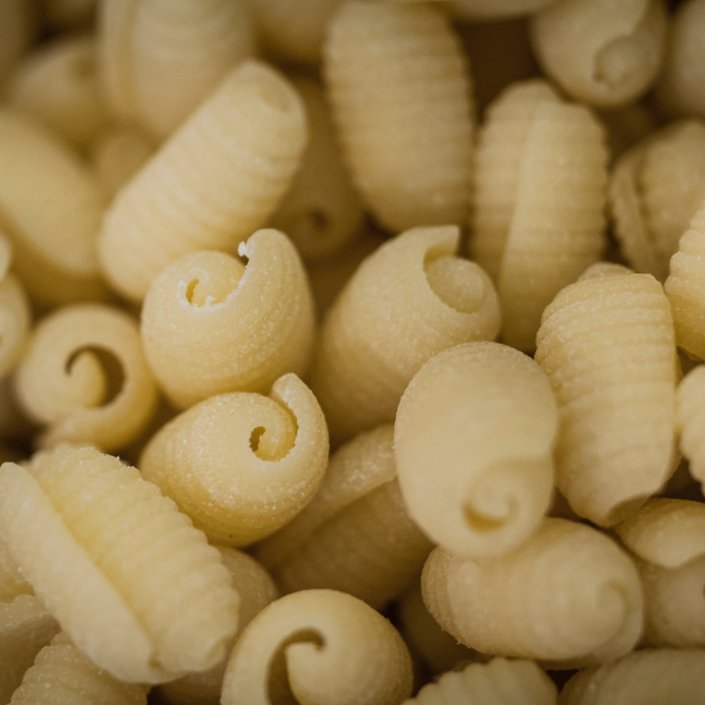 Mercato Centrale Firenze MCF