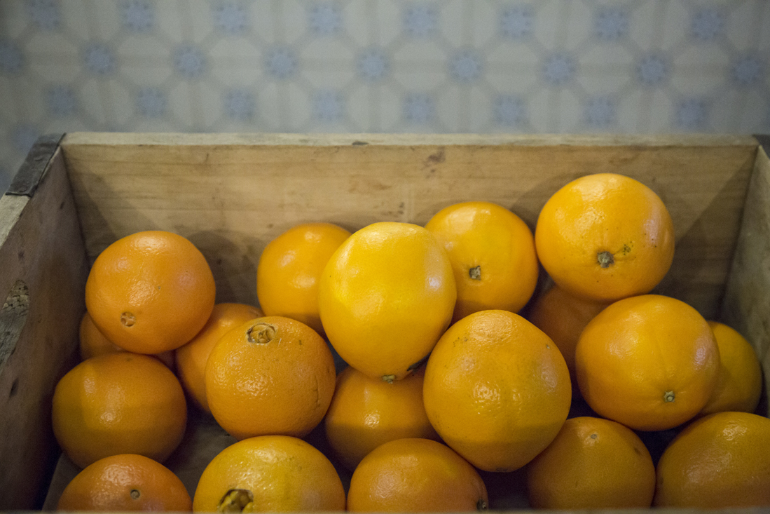 Un mondo distopico per il nostro cibo