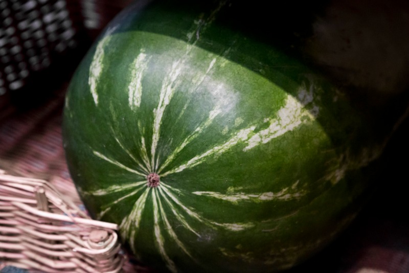 Antropologia di un cocomero | Foto di Federica Di Giovanni