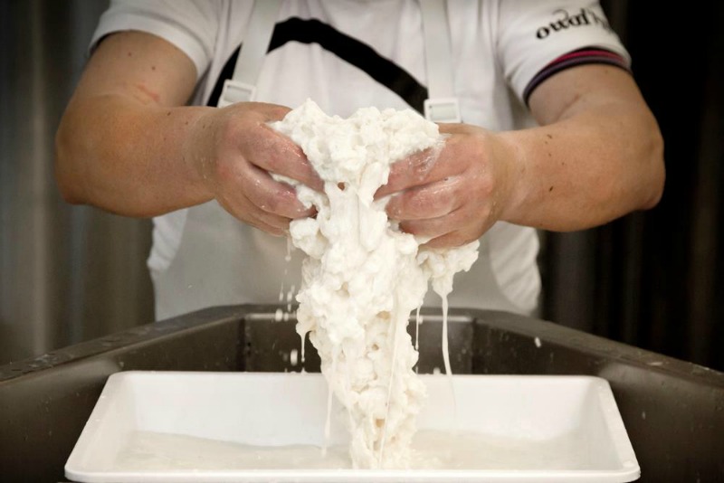 Enrico Carretta porta la nuova mozzarella al Mercato Centrale | Foto di Federica Di Giovanni