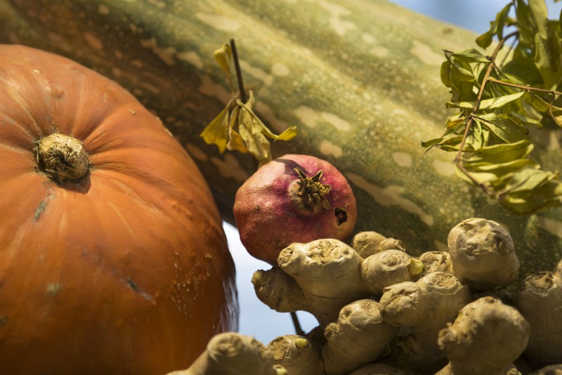 Nutraceutica, il cibo come medicina nella Grecia di Ippocrate